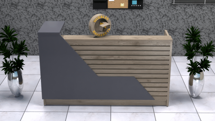 Recepción Mod. Rouse - Image 2