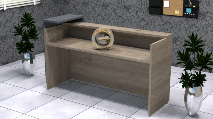 Recepción Mod. Rouse - Image 4