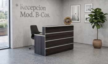 Recepción B-Cos