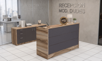 Recepción Dudes